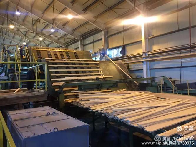 公司考察木材加工厂纪实 探寻匠心工艺与可持续发展之路
